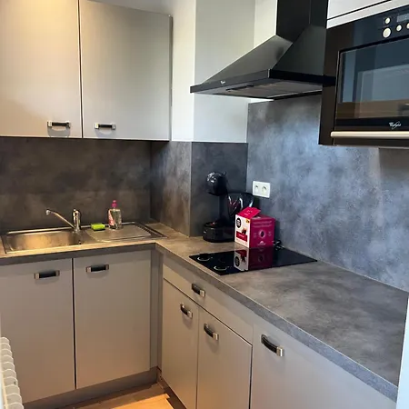 Apartmán Location Grand Studio 2 Grands Lits Centre Avec Terrasse Et Parking