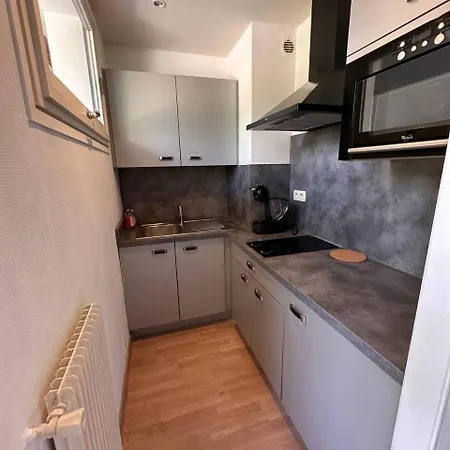דירה Location Grand Studio 2 Grands Lits Centre Avec Terrasse Et Parking